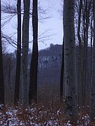 CIMG3953.JPG