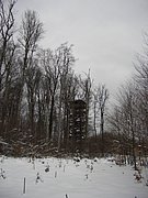 CIMG3956.JPG