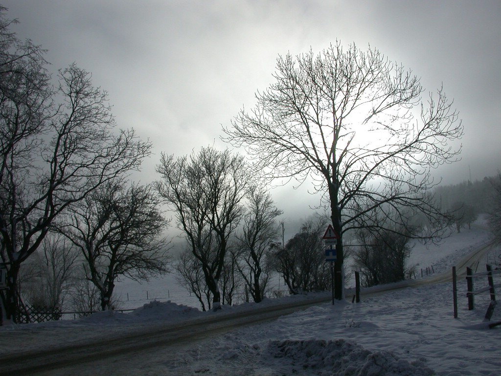 DSCN3987.JPG