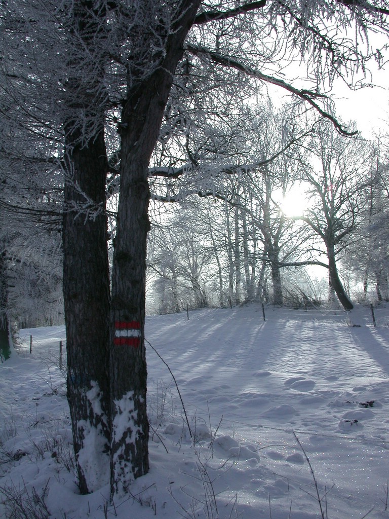 DSCN3996.JPG