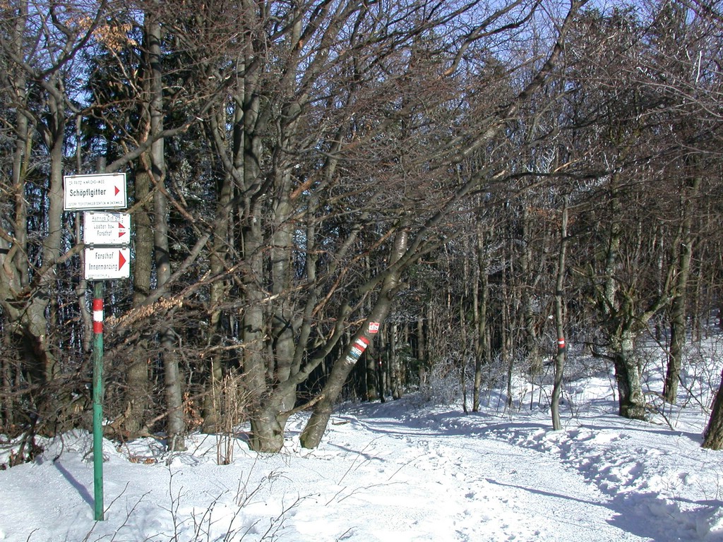 DSCN4008.JPG