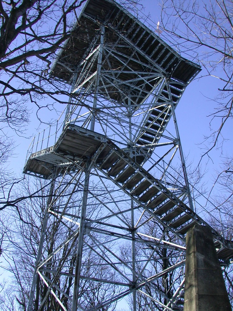 DSCN4016.JPG