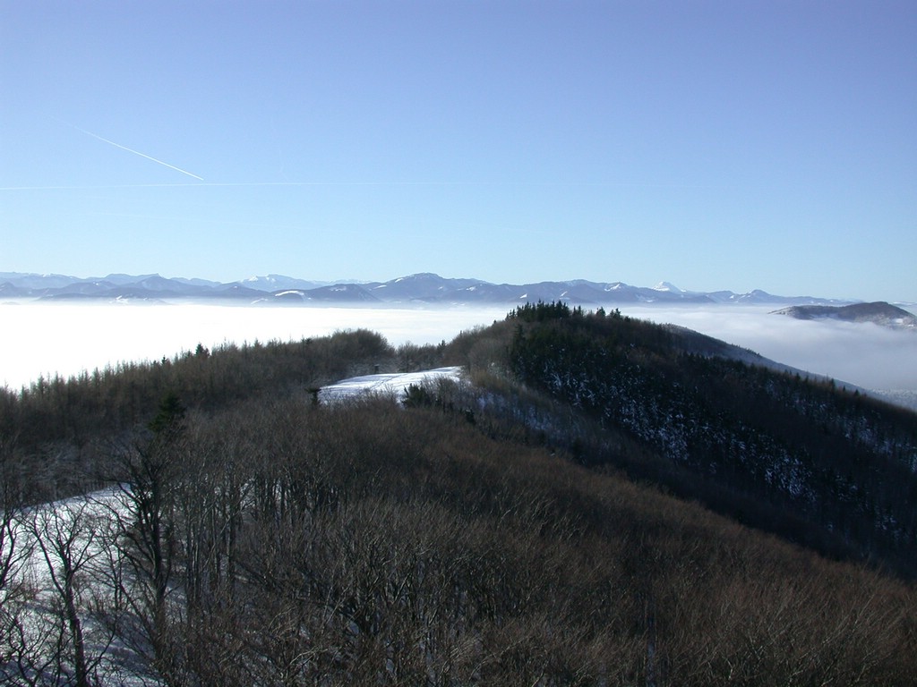 DSCN4021.JPG