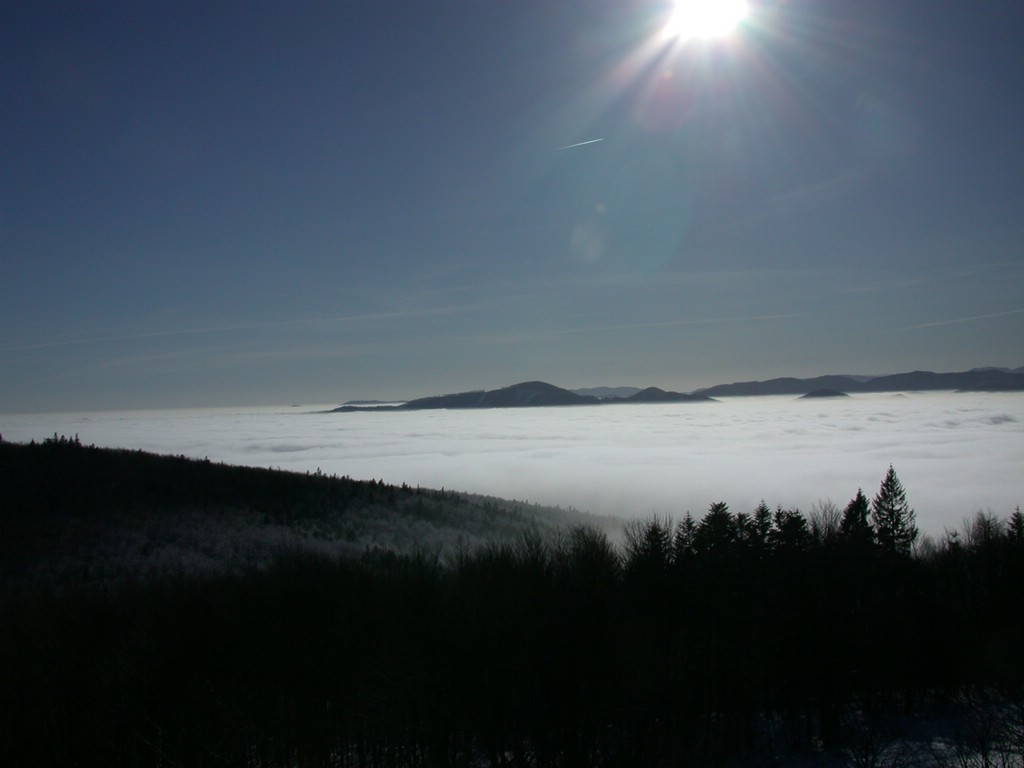 DSCN4023.JPG