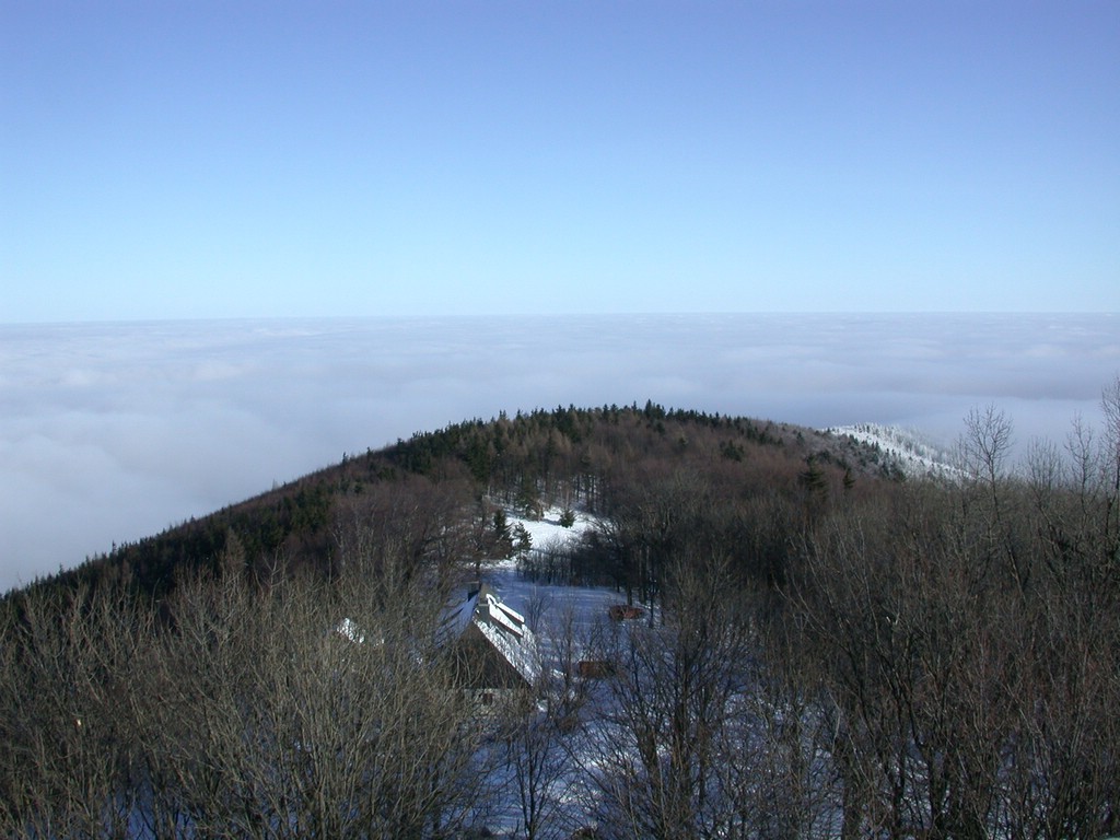 DSCN4024.JPG