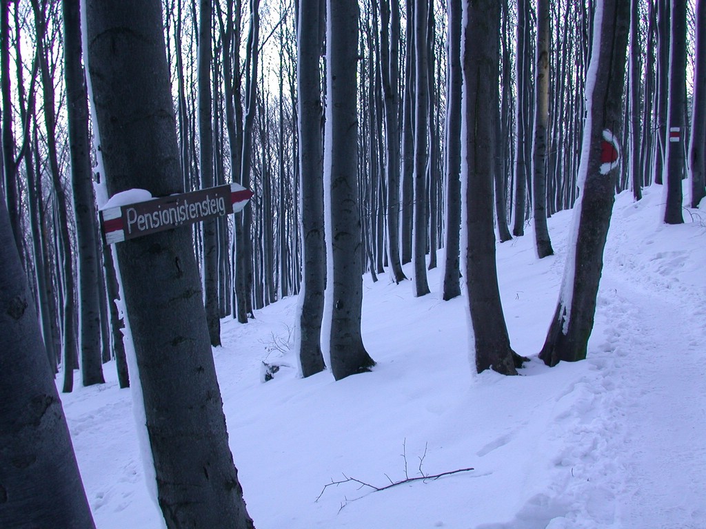DSCN4034.JPG