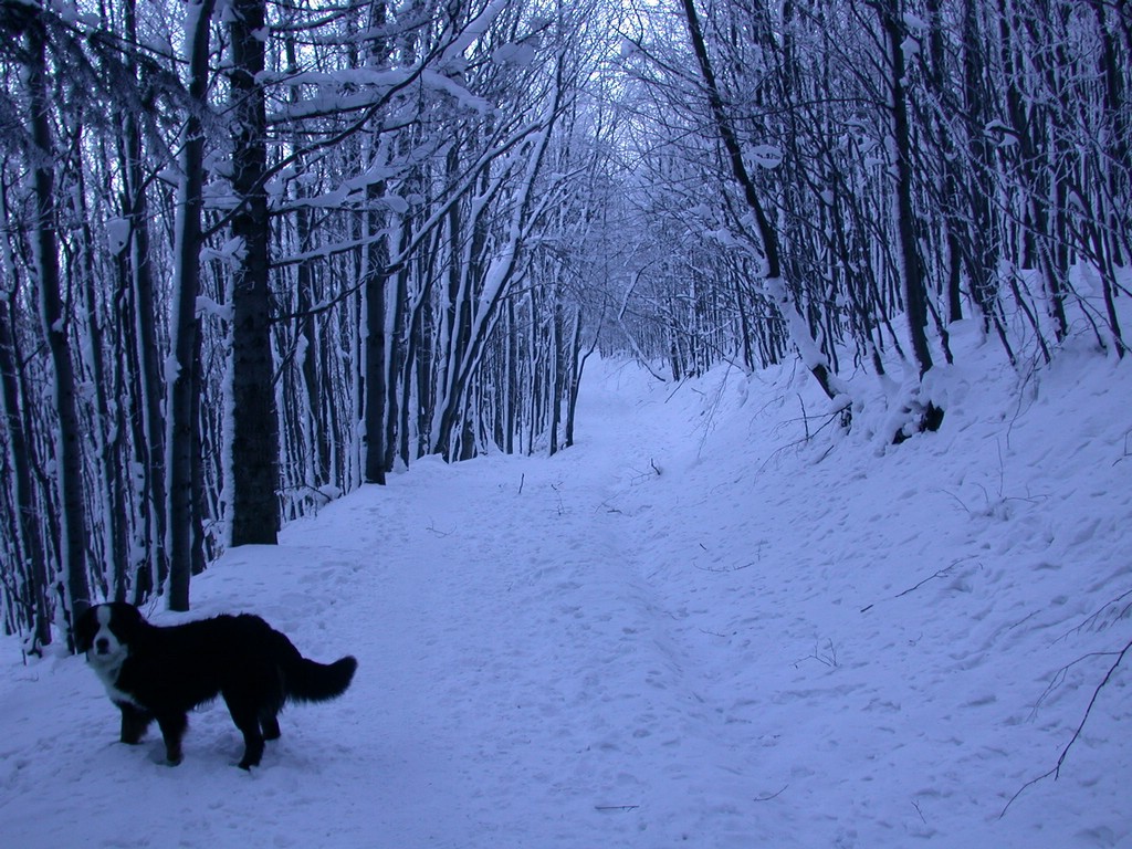 DSCN4035.JPG