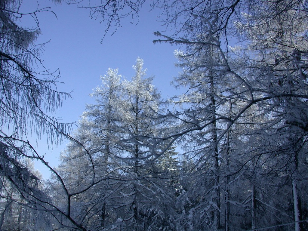 DSCN4040.JPG