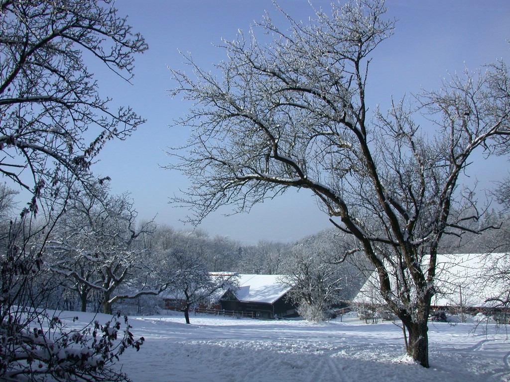 DSCN4044.JPG