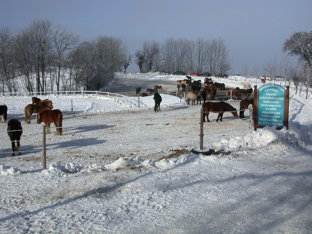 DSCN4049.JPG