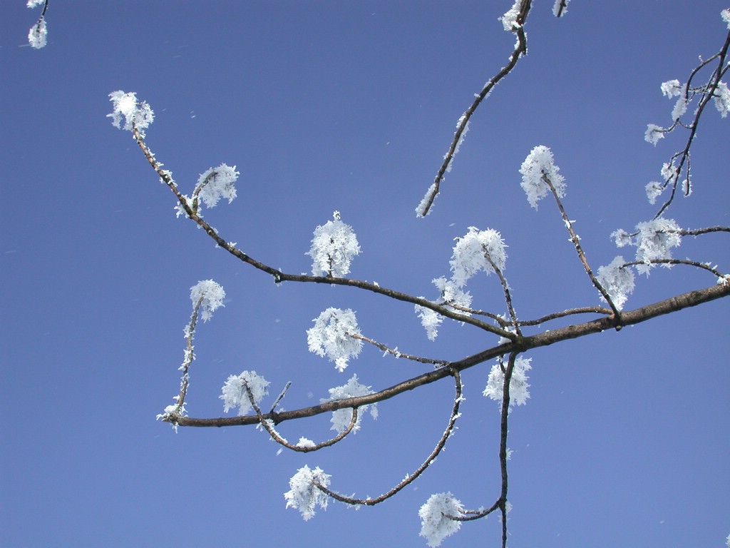 DSCN4053.JPG