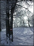 DSCN3996.JPG