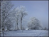 DSCN3997.JPG