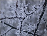 DSCN4001.JPG