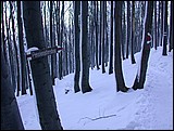 DSCN4034.JPG