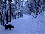 DSCN4035.JPG