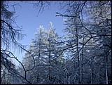 DSCN4040.JPG