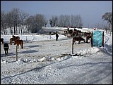 DSCN4049.JPG