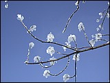 DSCN4053.JPG