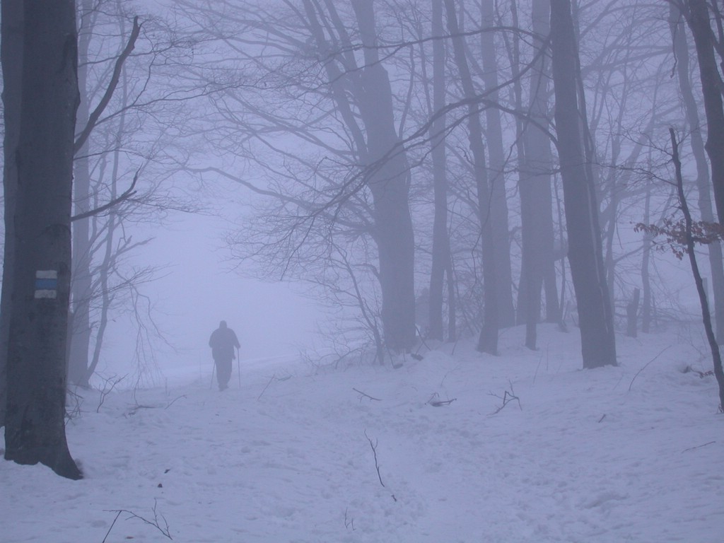DSCN4061.JPG