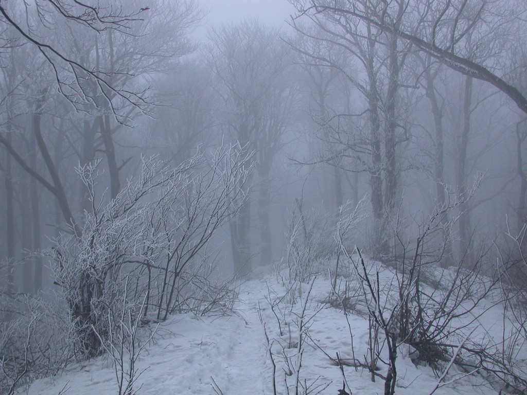 DSCN4062.JPG