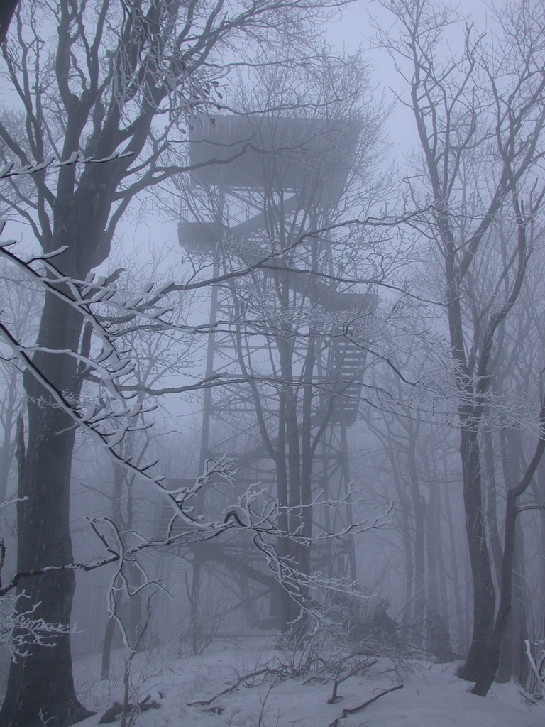 DSCN4063.JPG