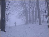 DSCN4061.JPG