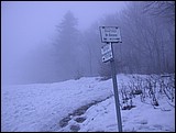 DSCN4065.JPG