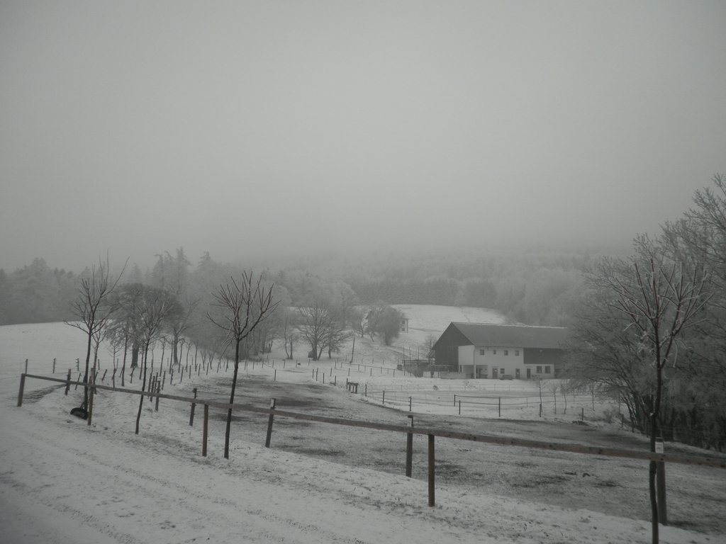 P2200015.JPG
