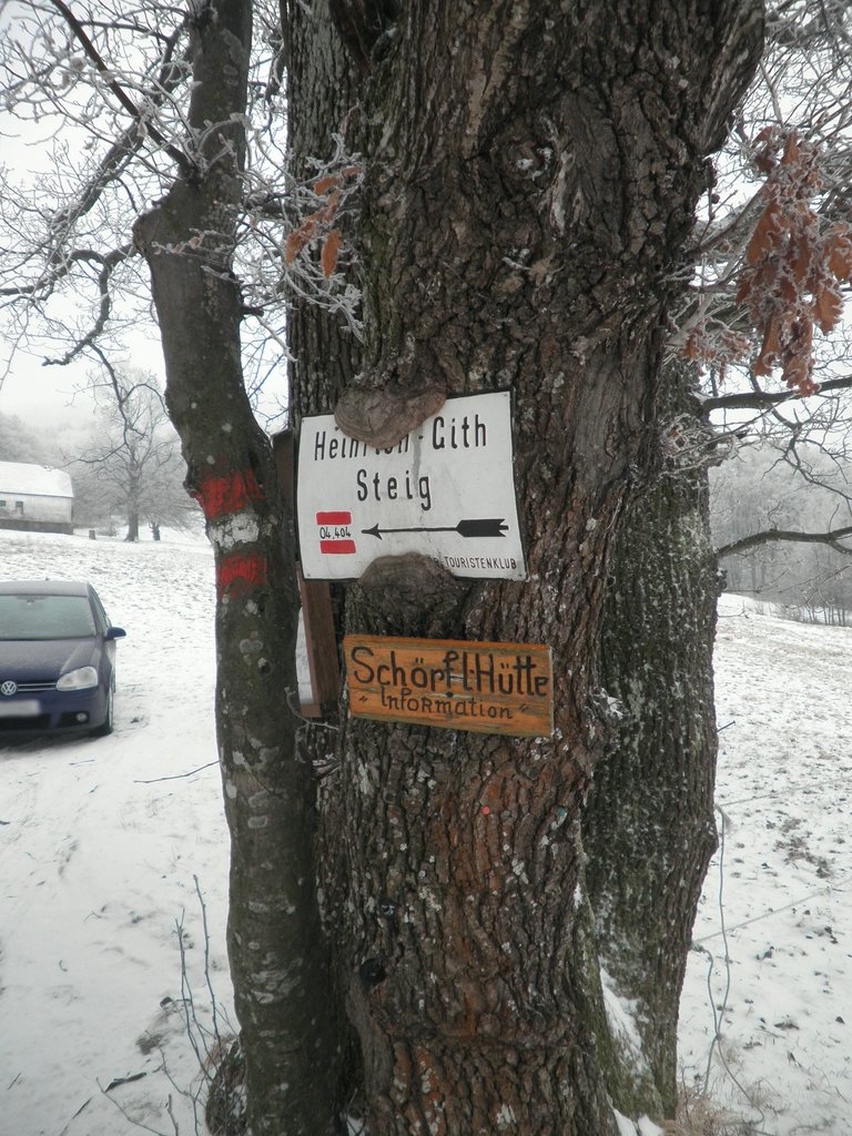 P2200017.JPG