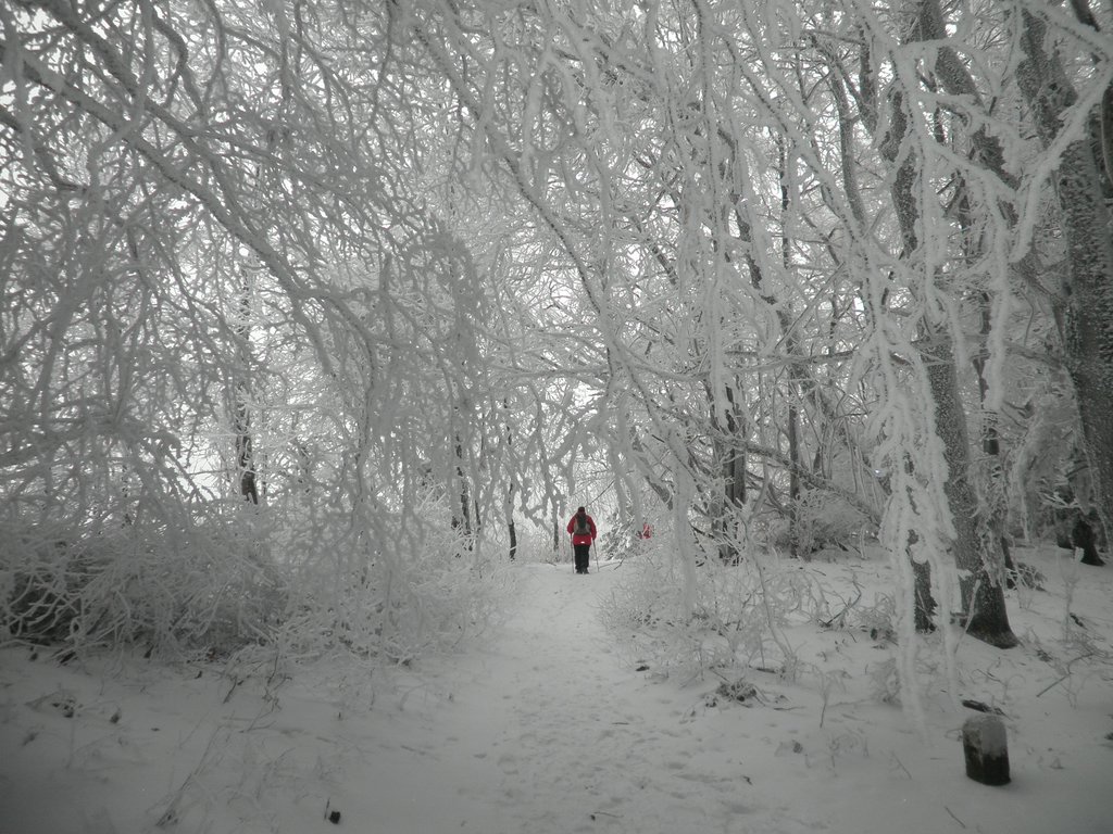 P2200029.JPG