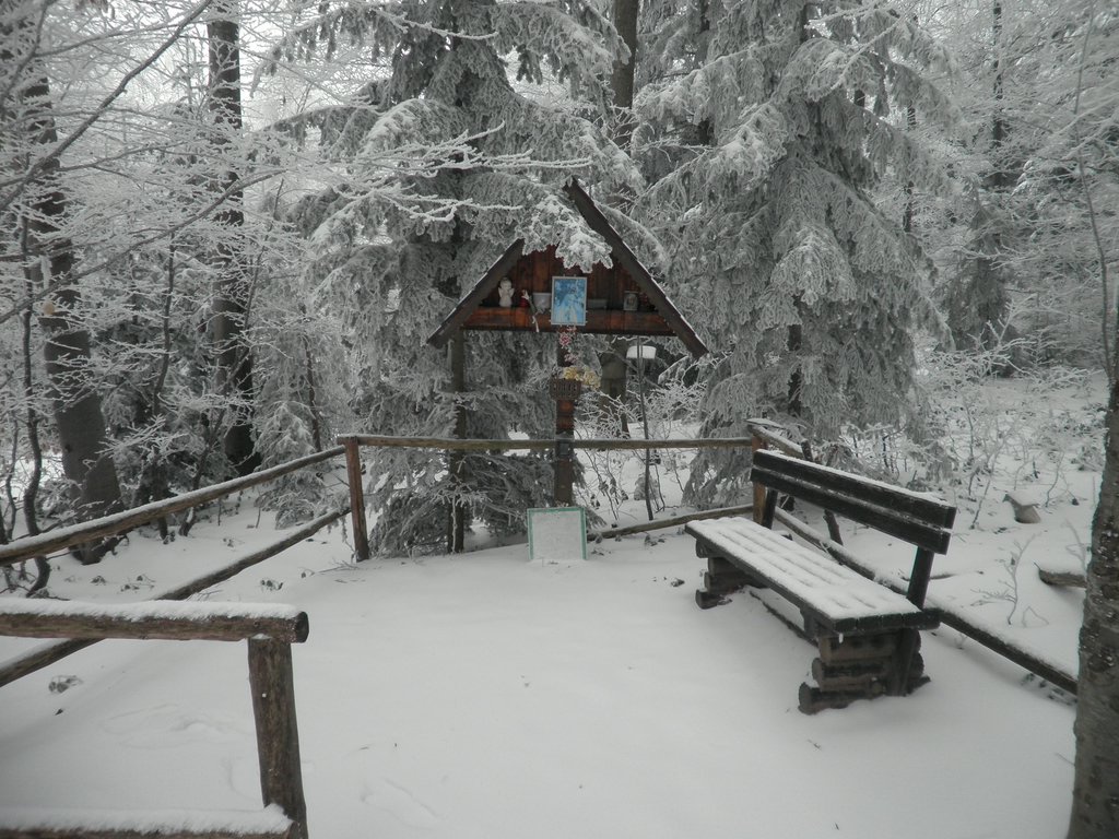 P2200033.JPG