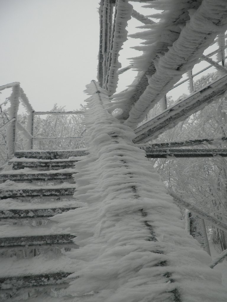 P2200047.JPG