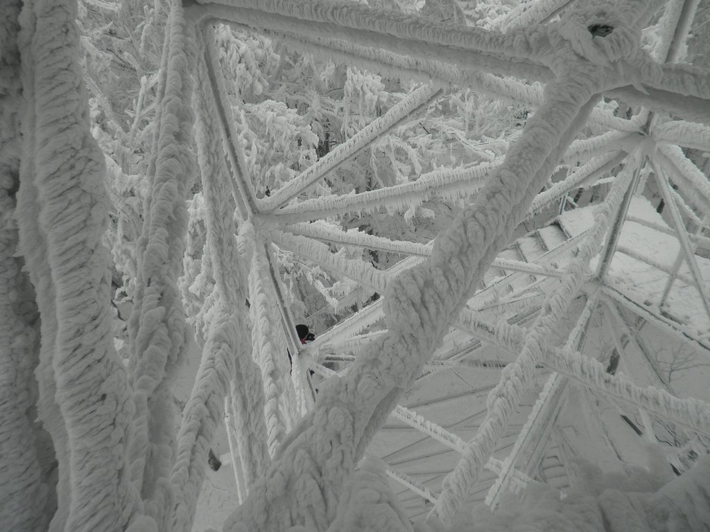 P2200073.JPG