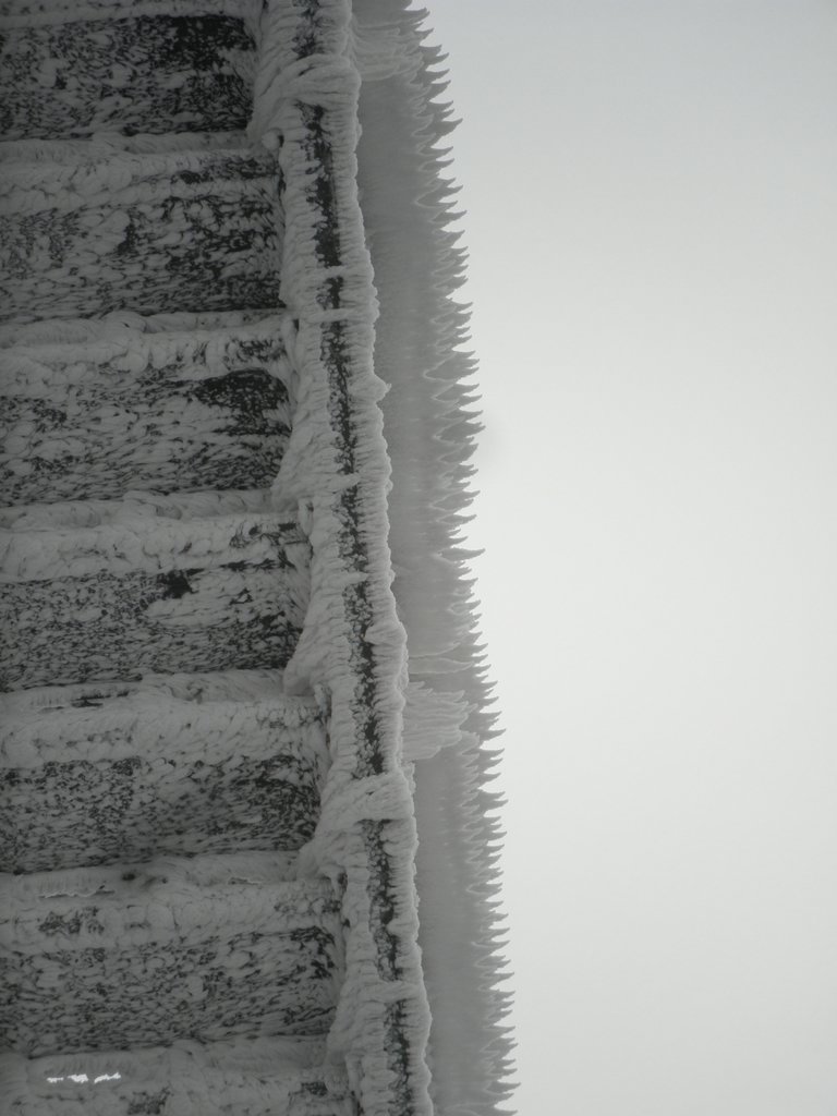 P2200078.JPG
