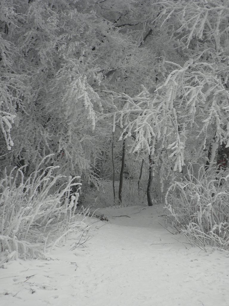 P2200092.JPG