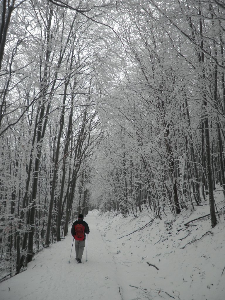 P2200094.JPG
