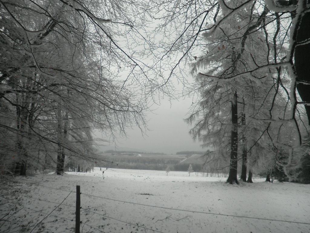 P2200096.JPG