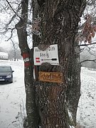 P2200017.JPG