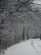 P2200020.JPG