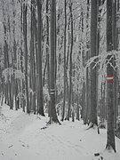 P2200026.JPG