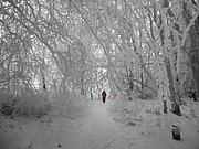 P2200029.JPG