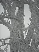 P2200043.JPG