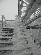 P2200047.JPG