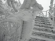 P2200049.JPG