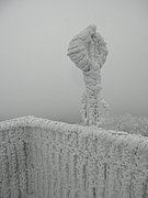 P2200060.JPG