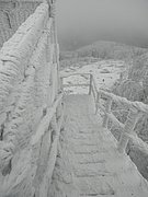 P2200069.JPG