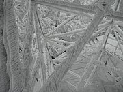 P2200073.JPG