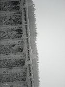 P2200078.JPG