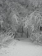 P2200092.JPG